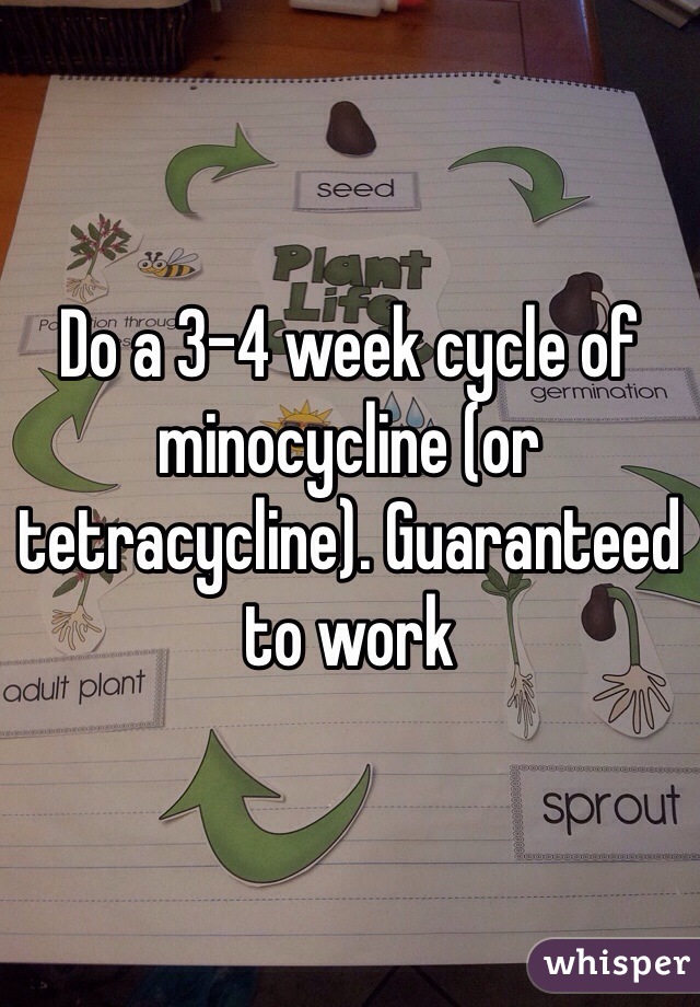 Do a 3-4 week cycle of minocycline (or tetracycline). Guaranteed to work