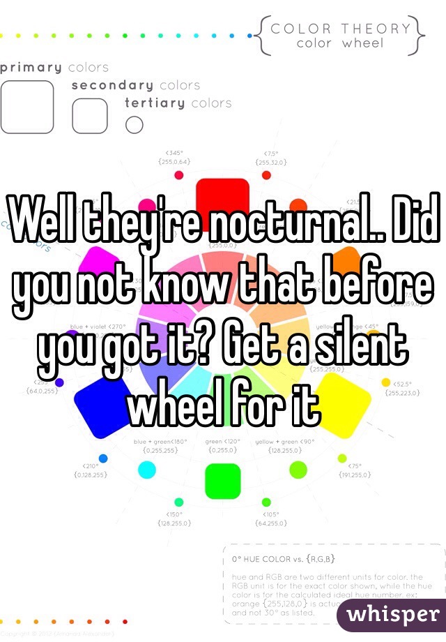 Well they're nocturnal.. Did you not know that before you got it? Get a silent wheel for it