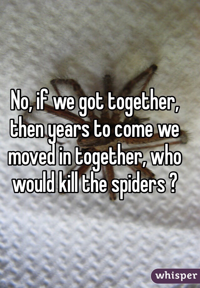 No, if we got together, then years to come we moved in together, who would kill the spiders ? 