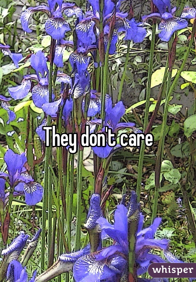 They don't care