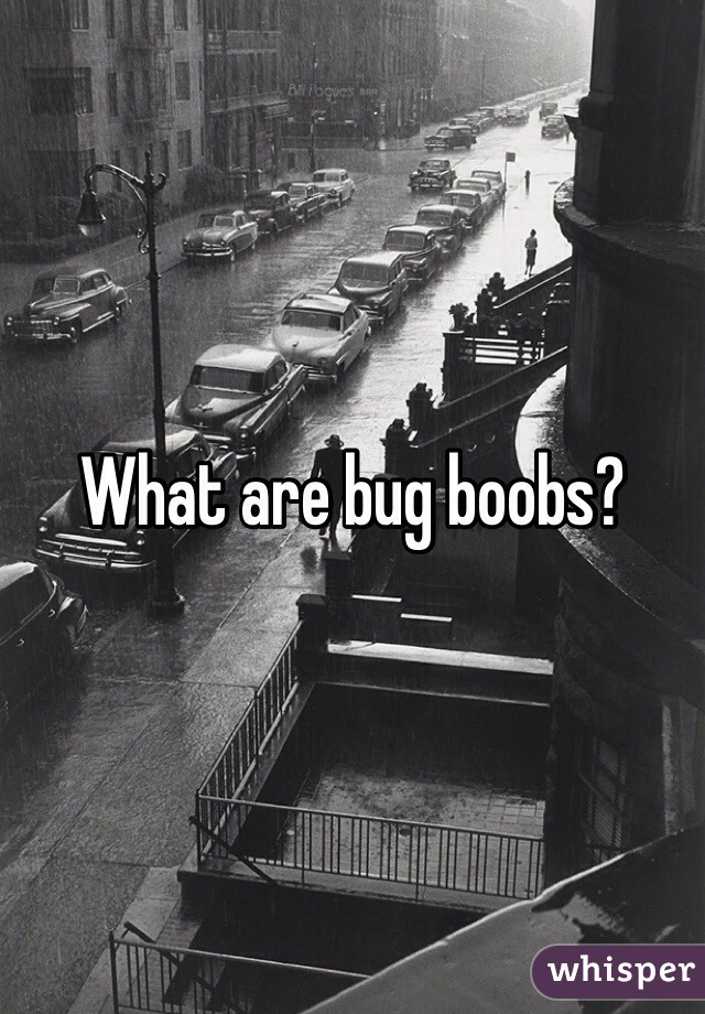 What are bug boobs?
