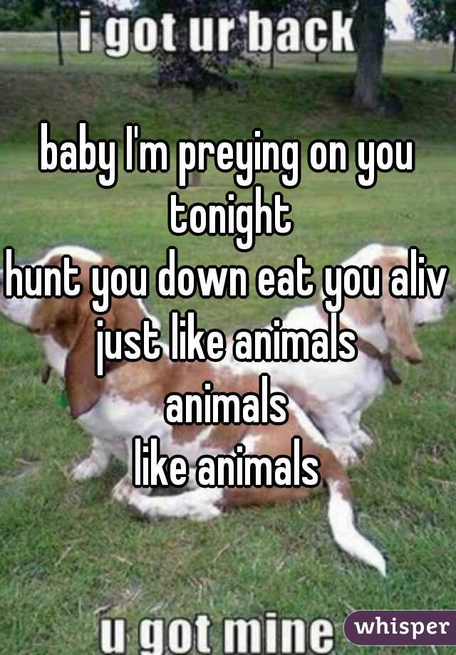 baby I'm preying on you tonight
hunt you down eat you alive
just like animals
animals
like animals