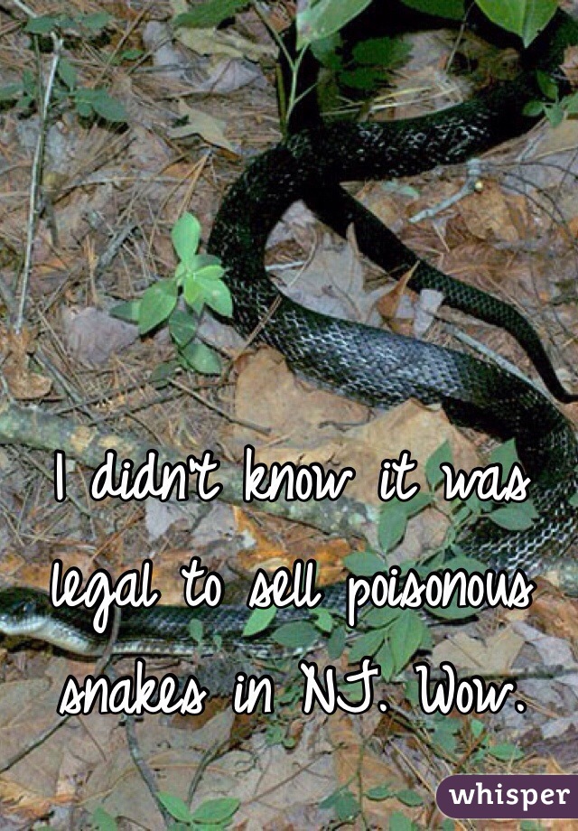 I didn't know it was legal to sell poisonous snakes in NJ. Wow. 