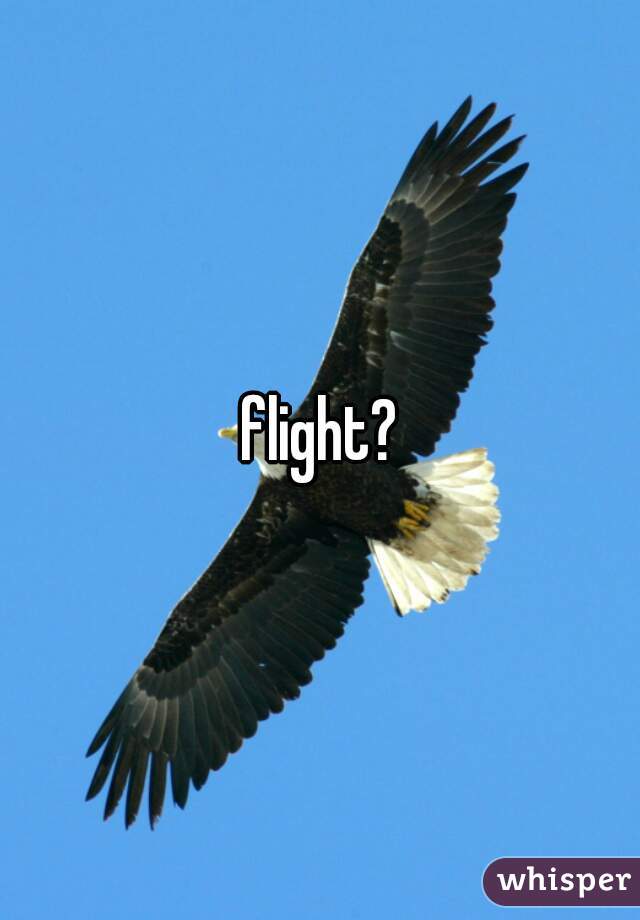 flight?