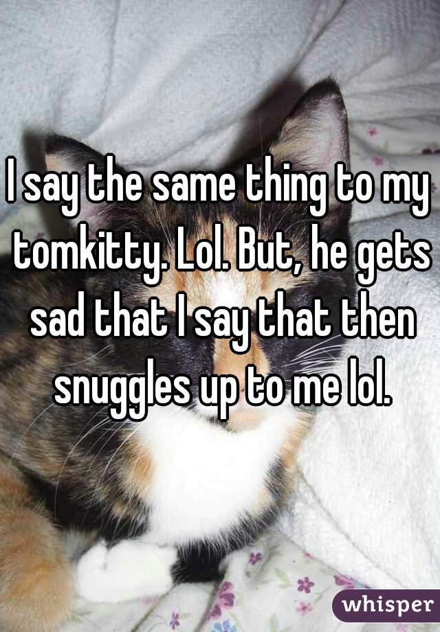 I say the same thing to my tomkitty. Lol. But, he gets sad that I say that then snuggles up to me lol.
