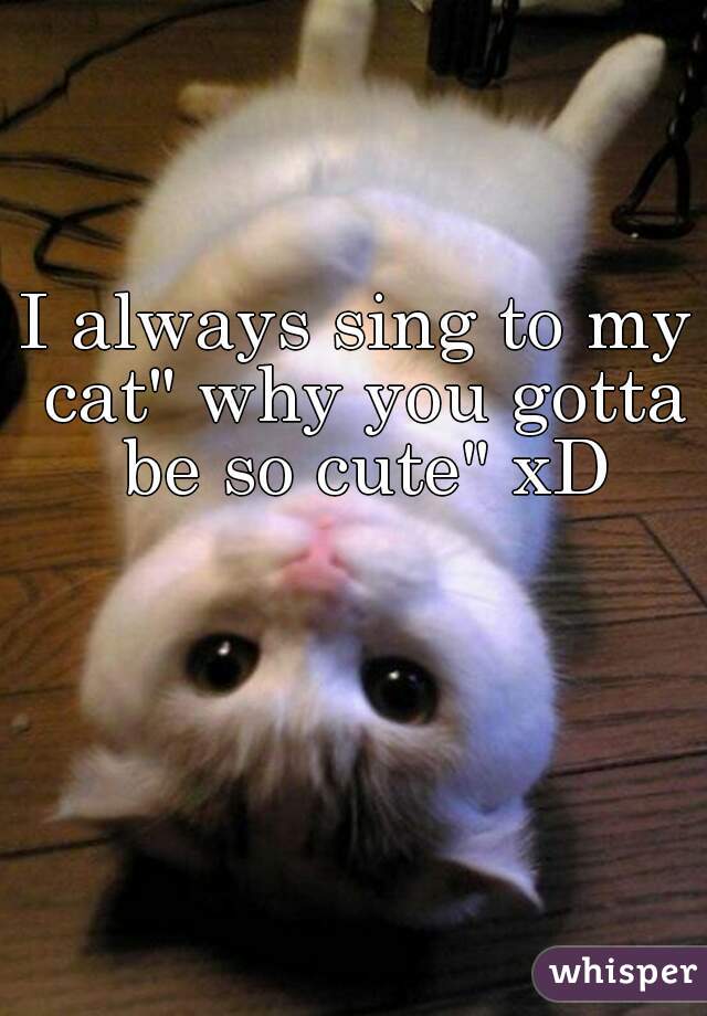 I always sing to my cat" why you gotta be so cute" xD