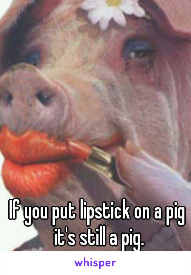If you put lipstick on a pig it's still a pig.