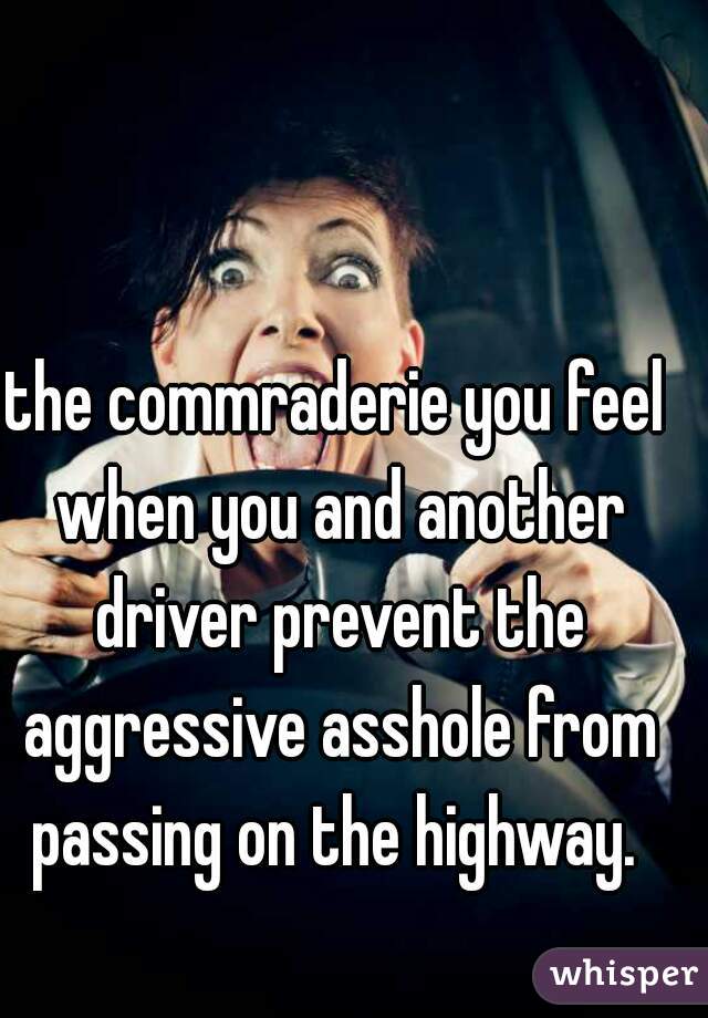 the commraderie you feel when you and another driver prevent the aggressive asshole from passing on the highway. 
