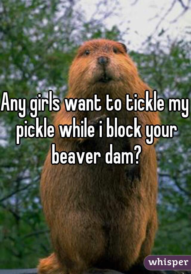 Any girls want to tickle my pickle while i block your beaver dam?