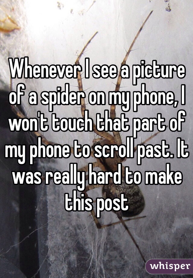 Whenever I see a picture of a spider on my phone, I won't touch that part of my phone to scroll past. It was really hard to make this post