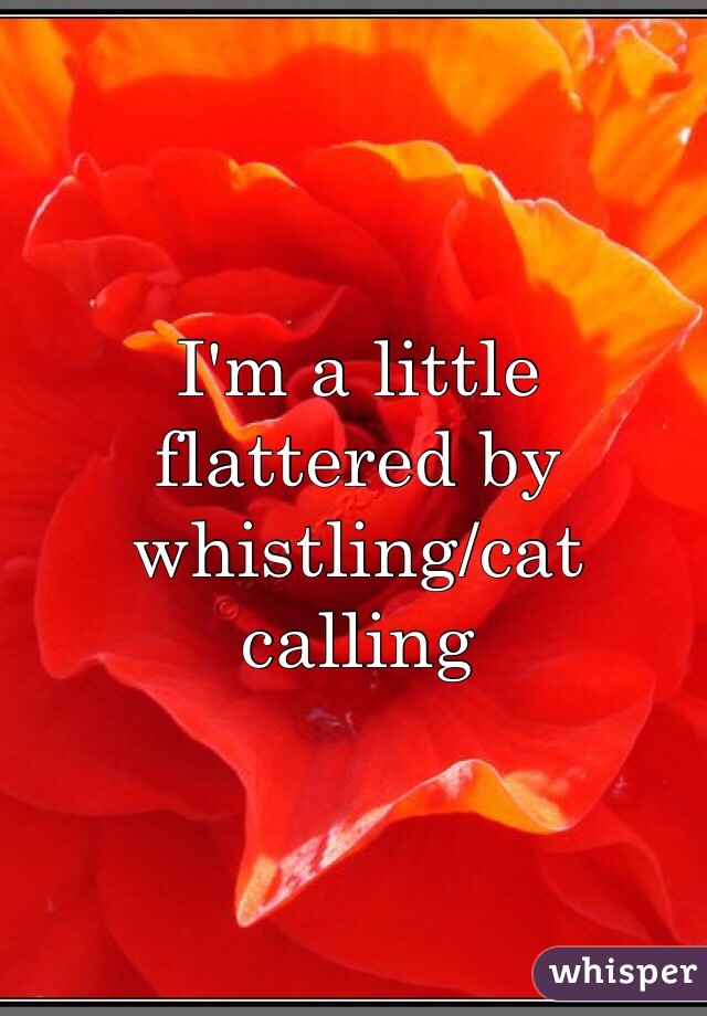 I'm a little flattered by whistling/cat calling