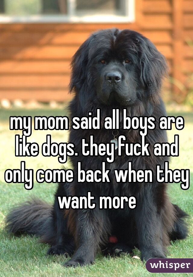 my mom said all boys are like dogs. they fuck and only come back when they want more 