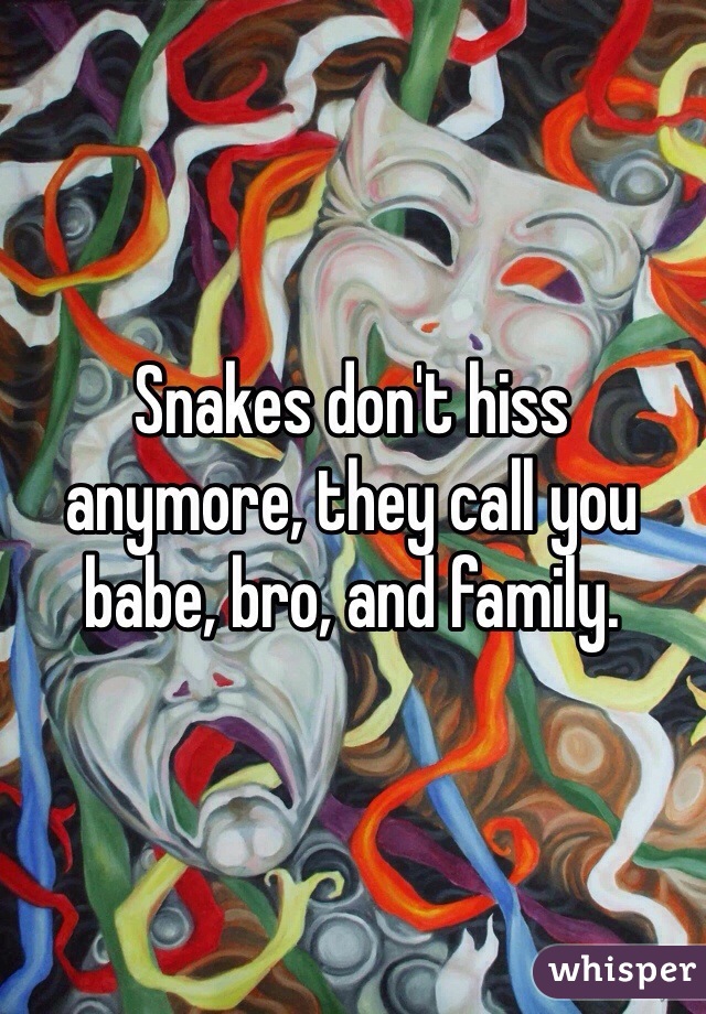 Snakes don't hiss anymore, they call you babe, bro, and family.