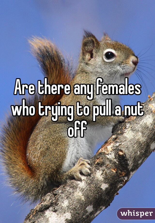 Are there any females who trying to pull a nut off