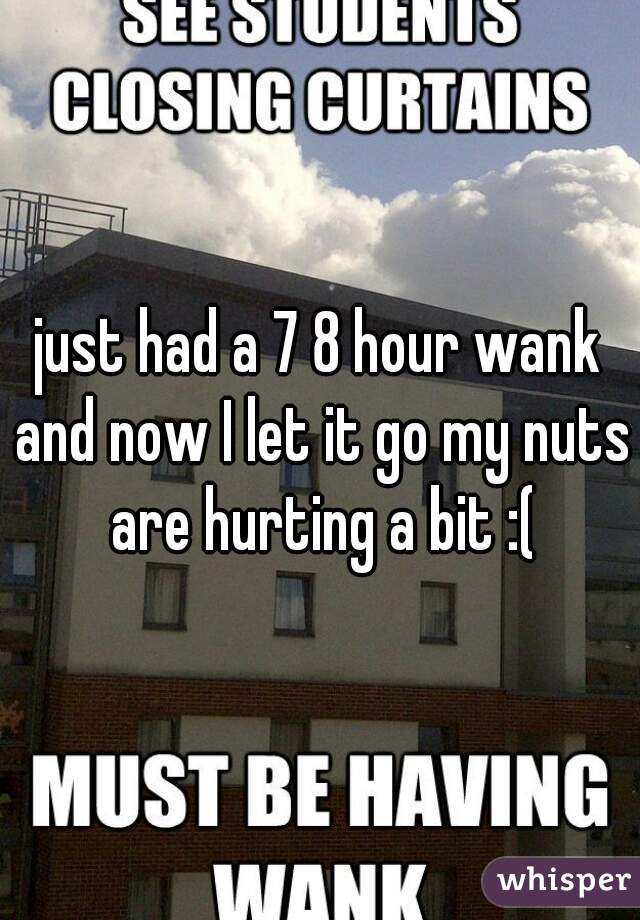 just had a 7 8 hour wank and now I let it go my nuts are hurting a bit :(
