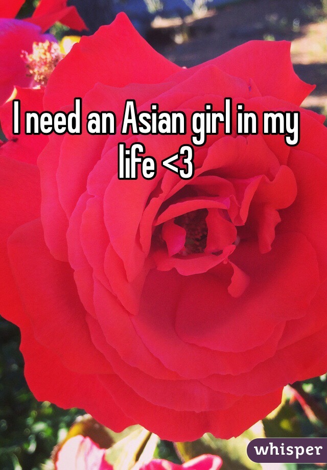 I need an Asian girl in my life <3
