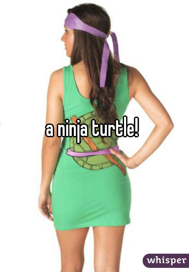 a ninja turtle! 