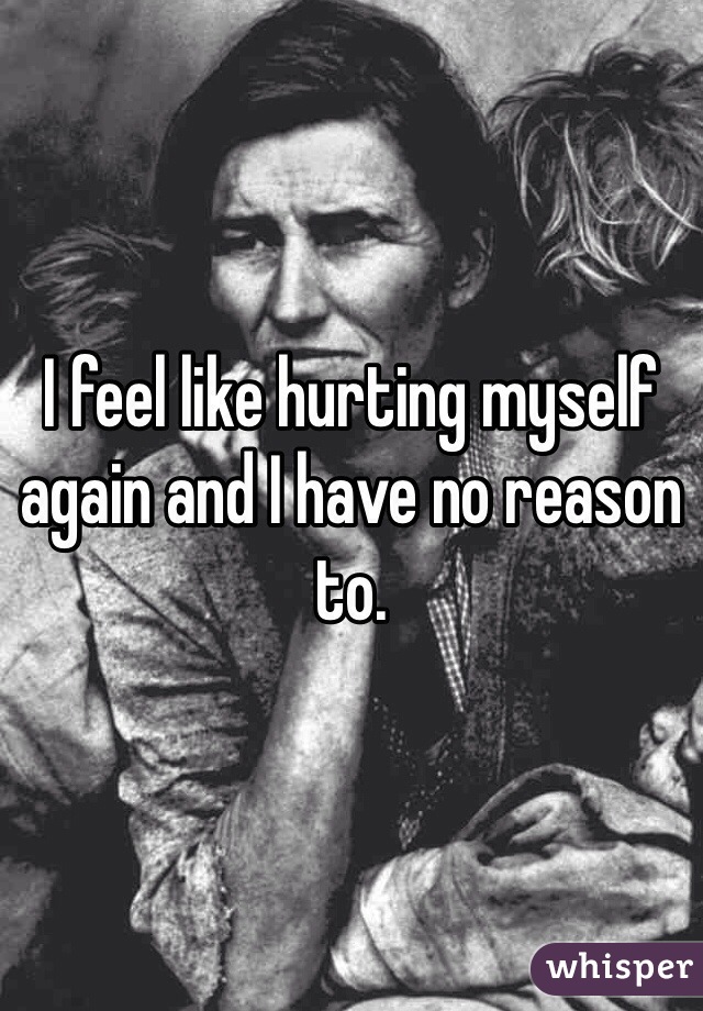 I feel like hurting myself again and I have no reason to. 