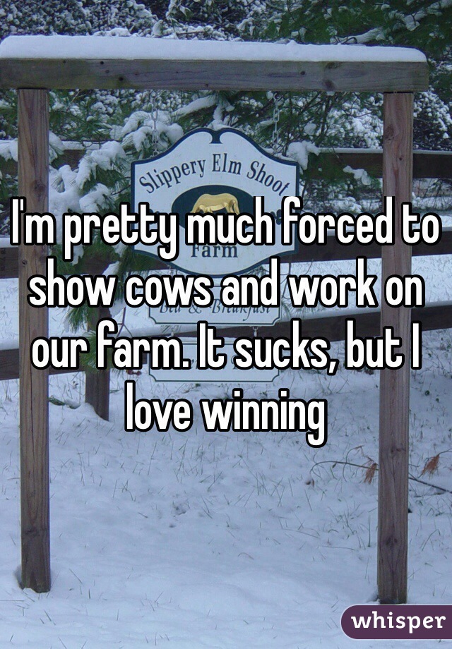 I'm pretty much forced to show cows and work on our farm. It sucks, but I love winning
