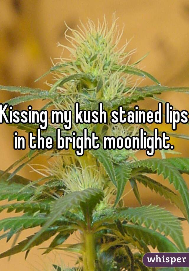 Kissing my kush stained lips in the bright moonlight. 