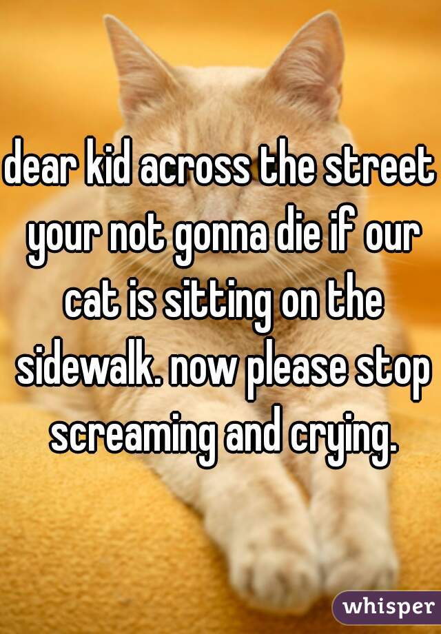dear kid across the street your not gonna die if our cat is sitting on the sidewalk. now please stop screaming and crying.