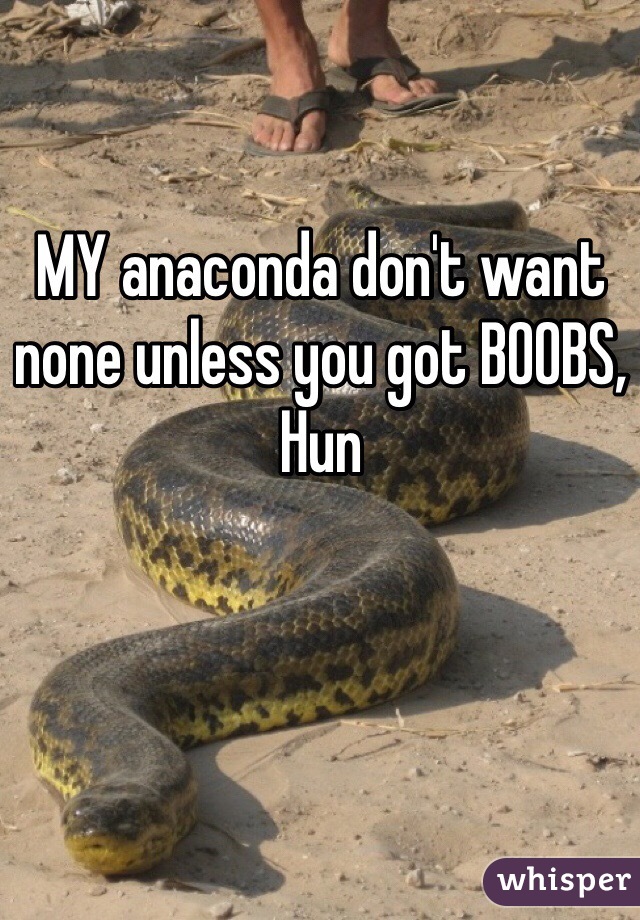 MY anaconda don't want none unless you got BOOBS, Hun