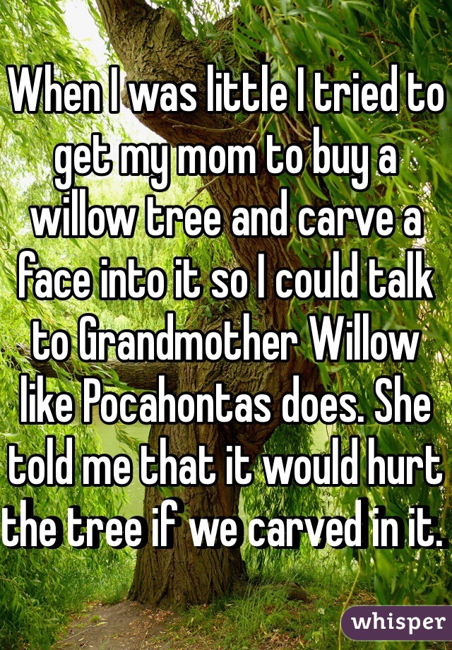 When I was little I tried to get my mom to buy a willow tree and carve a face into it so I could talk to Grandmother Willow like Pocahontas does. She told me that it would hurt the tree if we carved in it. 