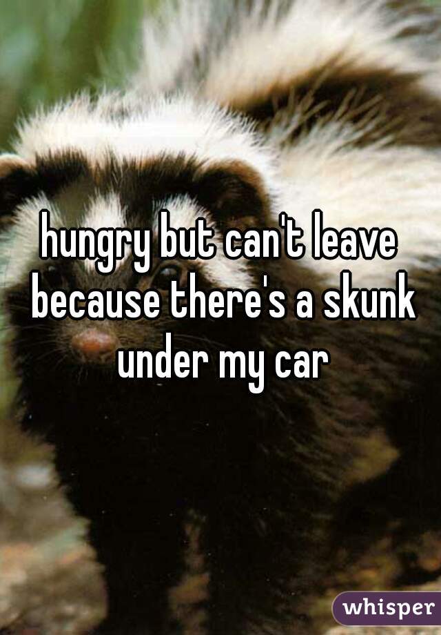 hungry but can't leave because there's a skunk under my car