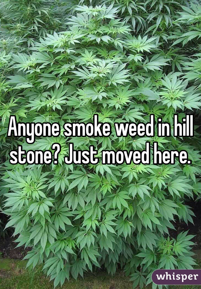 Anyone smoke weed in hill stone? Just moved here. 