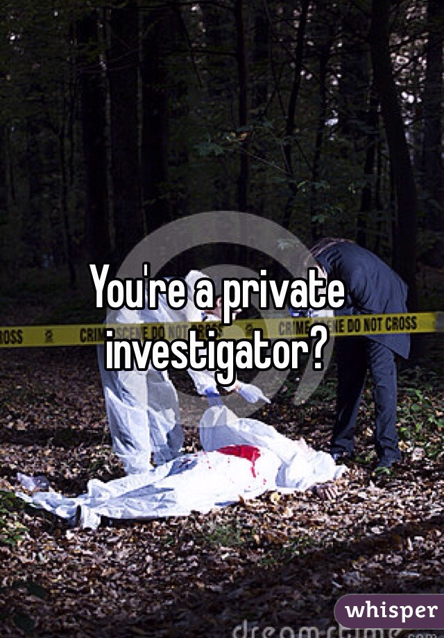 You're a private investigator?
