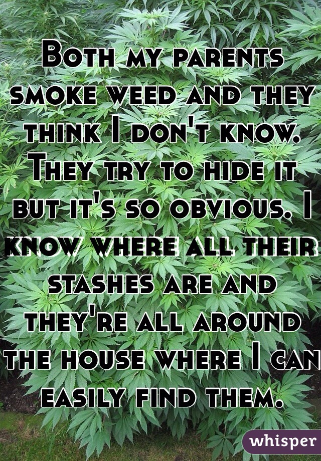 Both my parents smoke weed and they think I don't know. They try to hide it but it's so obvious. I know where all their stashes are and they're all around the house where I can easily find them.