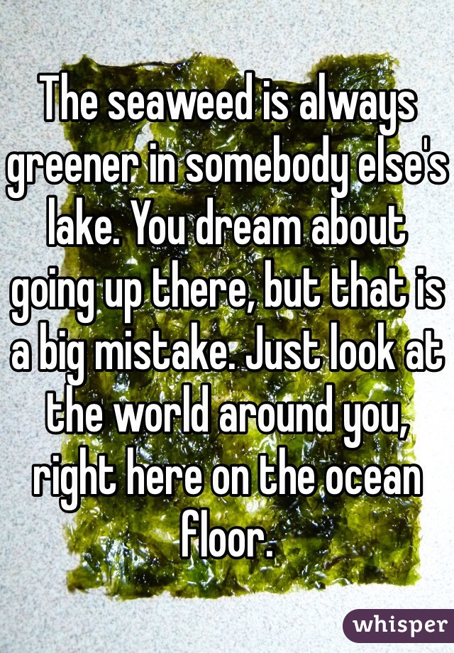 The seaweed is always greener in somebody else's lake. You dream about going up there, but that is a big mistake. Just look at the world around you, right here on the ocean floor. 