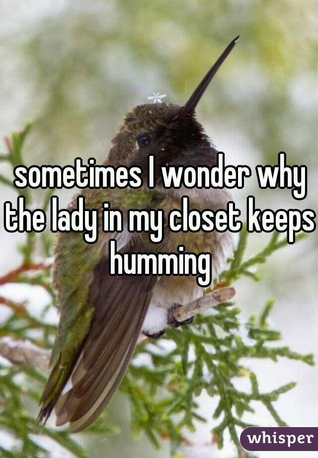 sometimes I wonder why the lady in my closet keeps humming