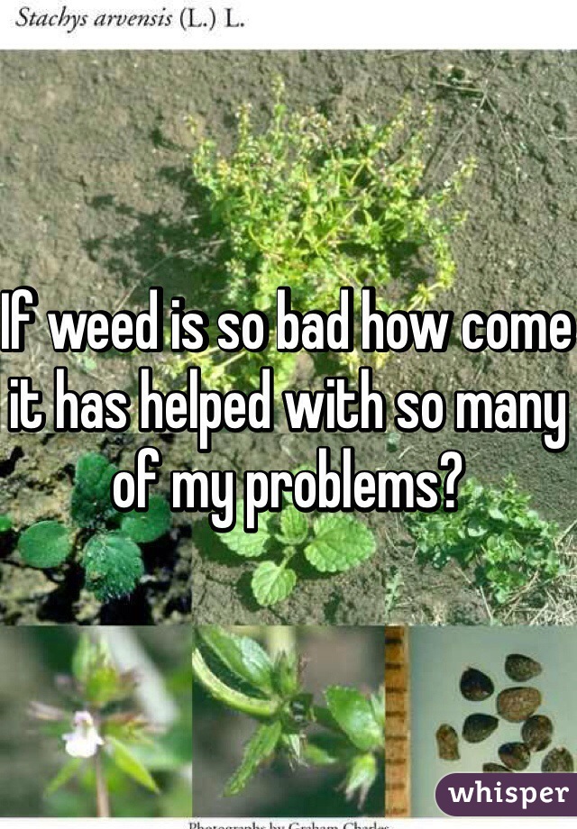 If weed is so bad how come it has helped with so many of my problems?