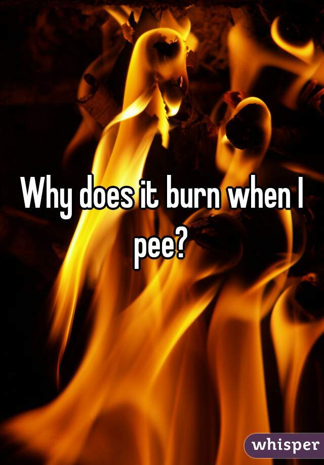 Why does it burn when I pee? 
