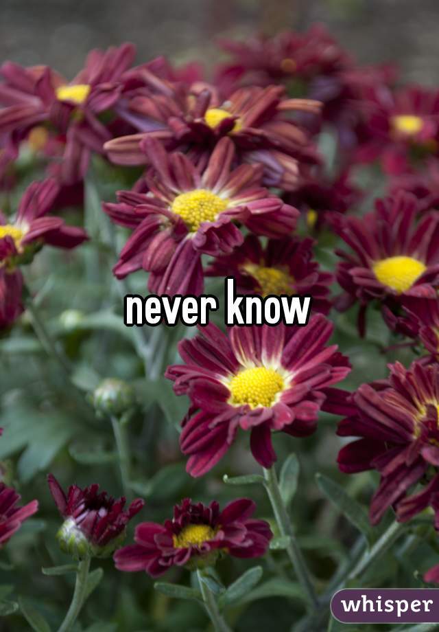 never know