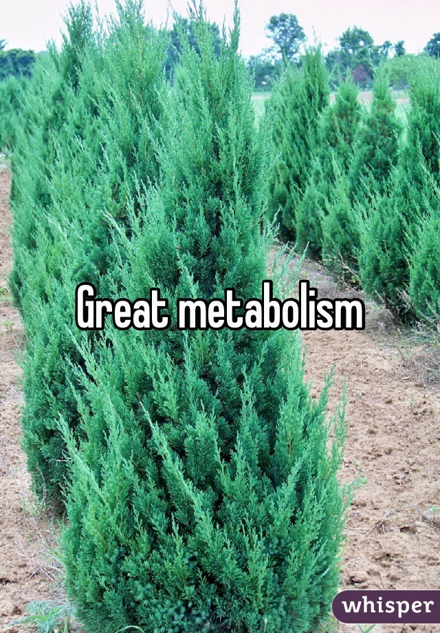 Great metabolism 