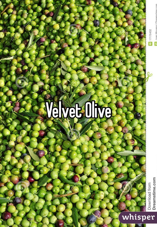 Velvet Olive