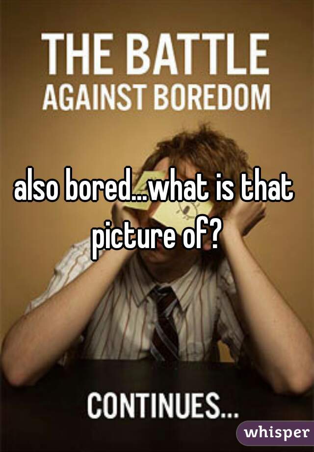 also bored...what is that picture of?