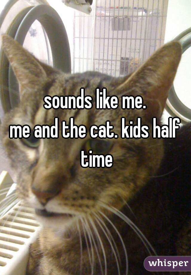 sounds like me.
me and the cat. kids half time