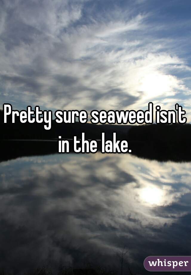 Pretty sure seaweed isn't in the lake. 