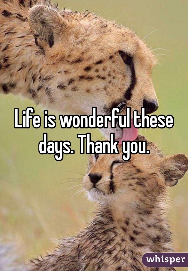 Life is wonderful these days. Thank you. 