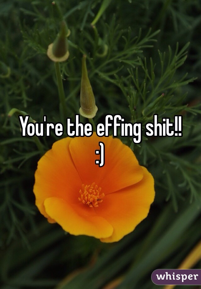You're the effing shit!!
:)