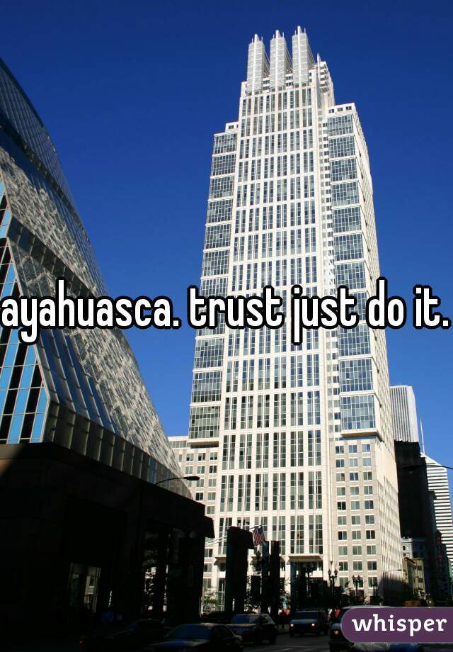 ayahuasca. trust just do it.
