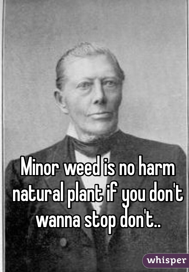 Minor weed is no harm natural plant if you don't wanna stop don't..