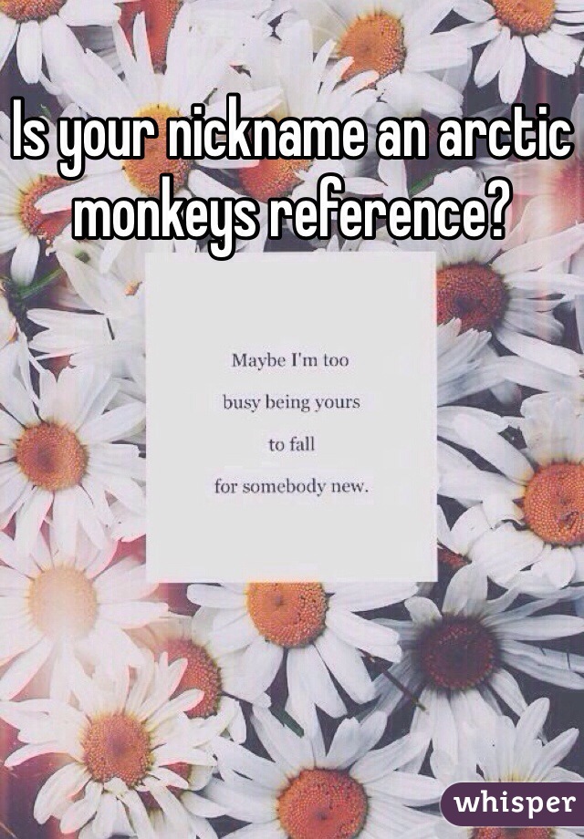 Is your nickname an arctic monkeys reference?