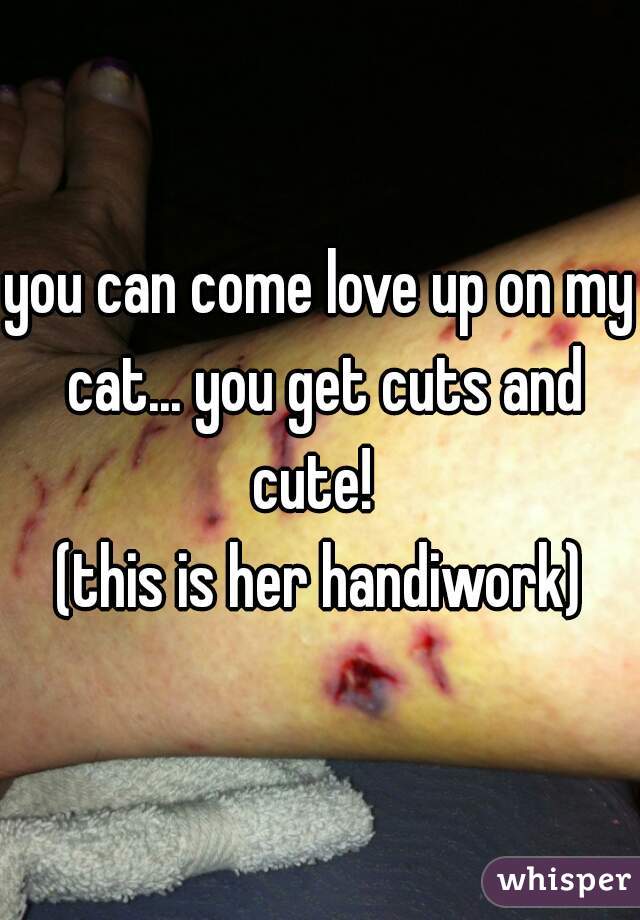 you can come love up on my cat... you get cuts and cute!  


(this is her handiwork)