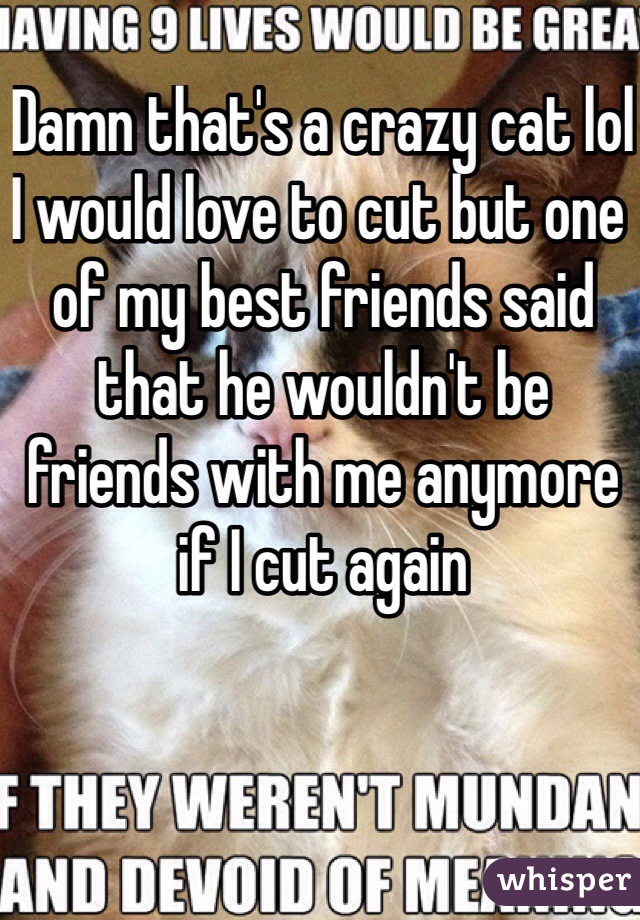 Damn that's a crazy cat lol I would love to cut but one of my best friends said that he wouldn't be friends with me anymore if I cut again