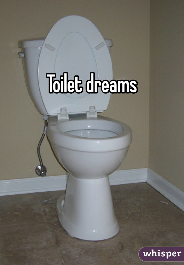 Toilet dreams
