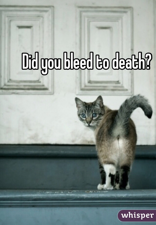 Did you bleed to death?
